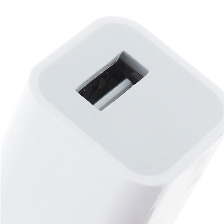 1A USB Power Adapter for iPhone iPod - US Plug