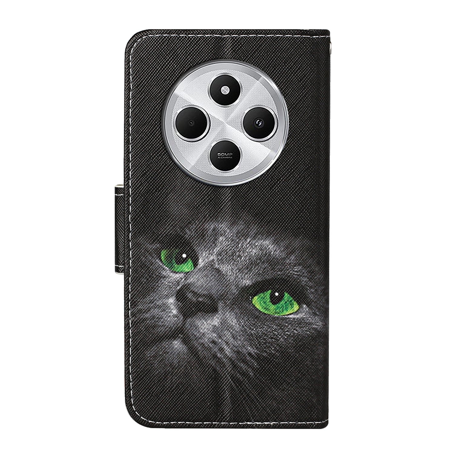 For Redmi 14C 4G Colored Drawing Pattern Leather Phone Case(Black Cat)